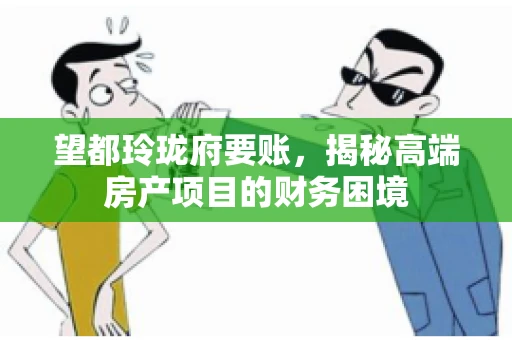 望都玲珑府要账，揭秘高端房产项目的财务困境