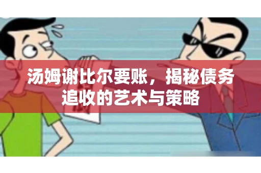 汤姆谢比尔要账，揭秘债务追收的艺术与策略
