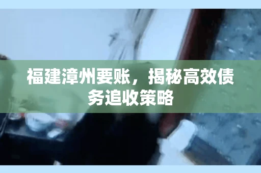 福建漳州要账，揭秘高效债务追收策略