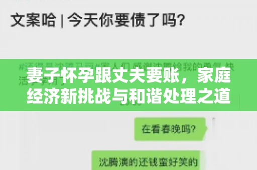 妻子怀孕跟丈夫要账，家庭经济新挑战与和谐处理之道