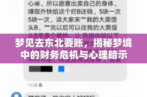 梦见去东北要账，揭秘梦境中的财务危机与心理暗示