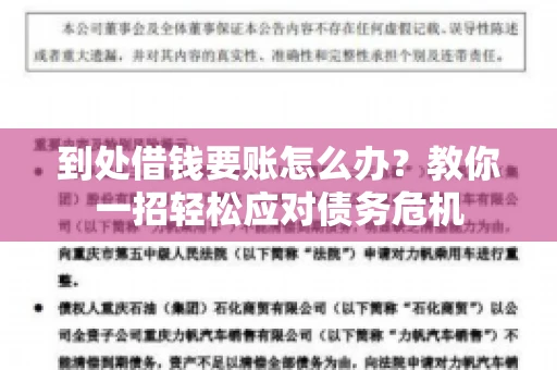 到处借钱要账怎么办？教你一招轻松应对债务危机