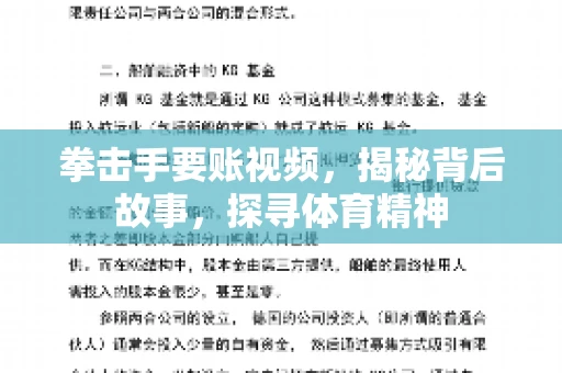 拳击手要账视频，揭秘背后故事，探寻体育精神