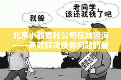 北京小额要账公司在线咨询——高效解决债务问题的最佳途径 北京小额要账公司在线咨询——高效解决债务问题的最佳途径