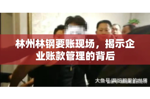 林州林钢要账现场，揭示企业账款管理的背后