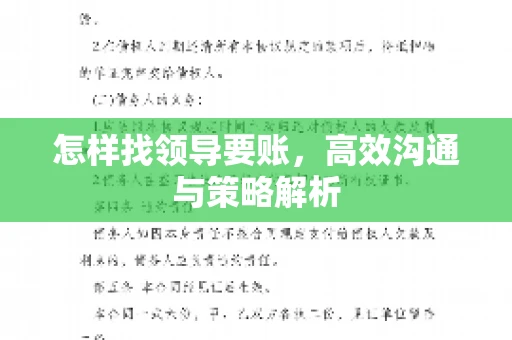 怎样找领导要账，高效沟通与策略解析