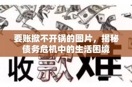 要账掀不开锅的图片，揭秘债务危机中的生活困境
