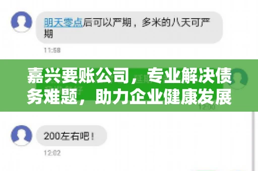 嘉兴要账公司，专业解决债务难题，助力企业健康发展