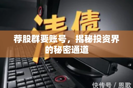荐股群要账号，揭秘投资界的秘密通道