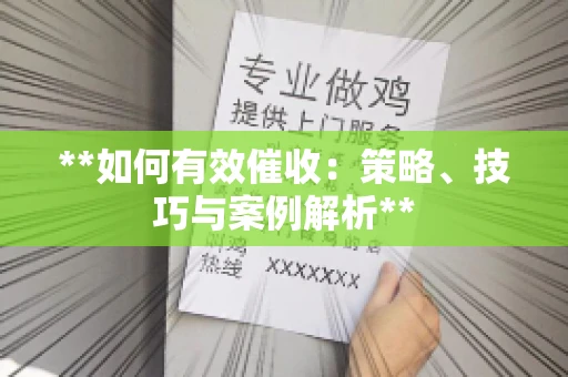 **如何有效催收：策略、技巧与案例解析**