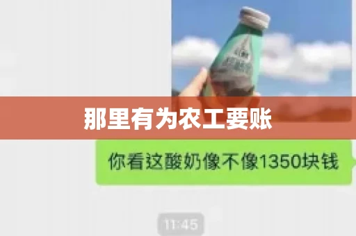 那里有为农工要账