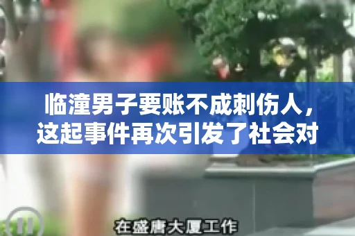 临潼男子要账不成刺伤人，这起事件再次引发了社会对讨债行为的关注。在这个故事中，我们不仅要了解事件的经过，还要思考如何避免类似悲剧的发生。