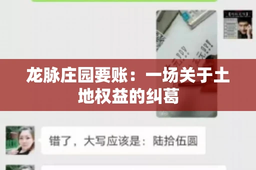 龙脉庄园要账：一场关于土地权益的纠葛