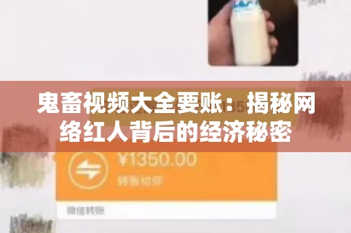 鬼畜视频大全要账：揭秘网络红人背后的经济秘密