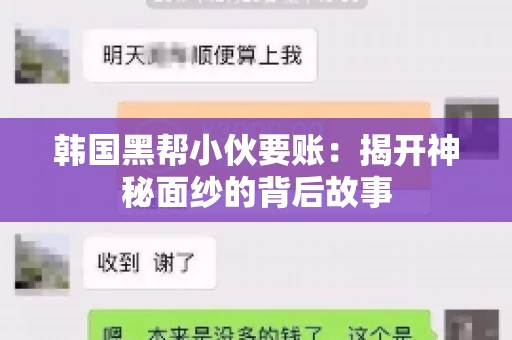 韩国黑帮小伙要账：揭开神秘面纱的背后故事