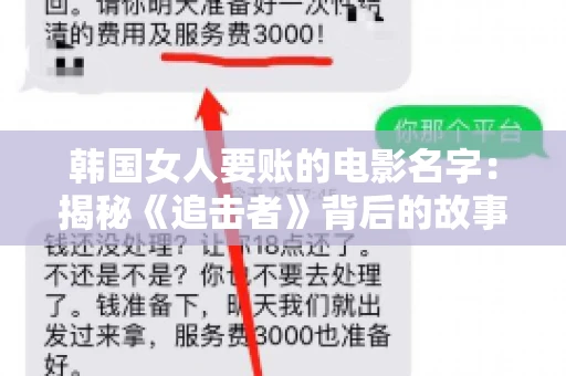 韩国女人要账的电影名字：揭秘《追击者》背后的故事