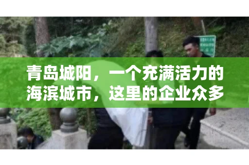 青岛城阳，一个充满活力的海滨城市，这里的企业众多，商业活动频繁。然而，随之而来的问题也不少，其中最让人头疼的就是要账难。今天，我们就来聊聊青岛城阳的“要账”那些事儿。