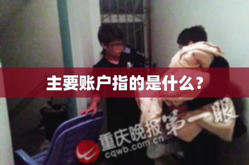 主要账户指的是什么？