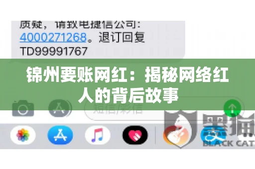锦州要账网红：揭秘网络红人的背后故事