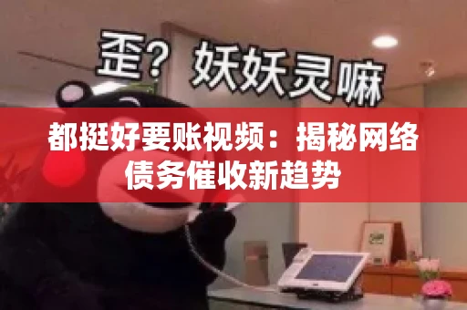 都挺好要账视频：揭秘网络债务催收新趋势
