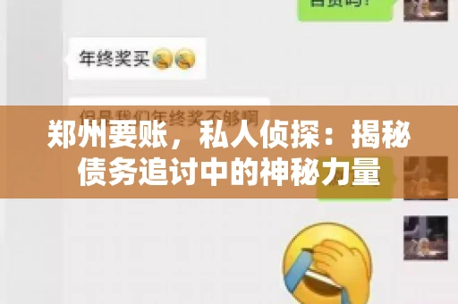 郑州要账，私人侦探：揭秘债务追讨中的神秘力量