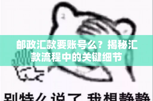 邮政汇款要账号么？揭秘汇款流程中的关键细节