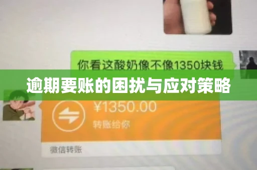 逾期要账的困扰与应对策略