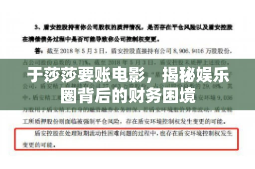 于莎莎要账电影,揭秘娱乐圈背后的财务困境 于莎莎要账电影,揭秘娱乐圈背后的财务困境