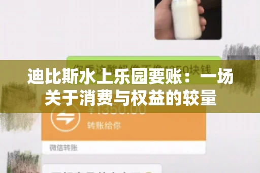 迪比斯水上乐园要账：一场关于消费与权益的较量