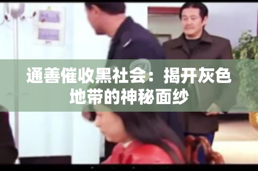 通善催收黑社会：揭开灰色地带的神秘面纱