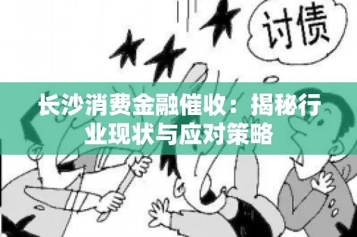 长沙消费金融催收：揭秘行业现状与应对策略