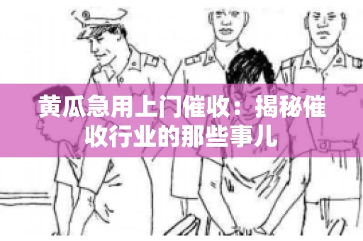 黄瓜急用上门催收：揭秘催收行业的那些事儿