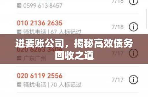 进要账公司,揭秘高效债务回收之道 进要账公司,揭秘高效债务回收之道