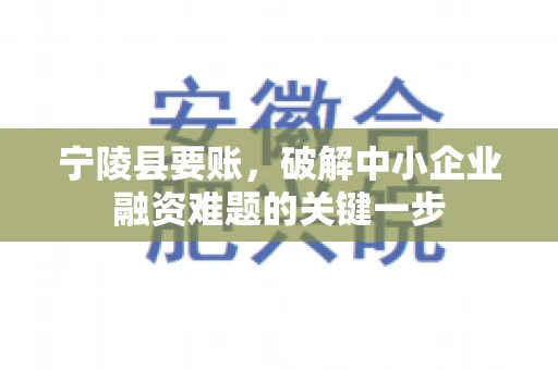 宁陵县要账，破解中小企业融资难题的关键一步
