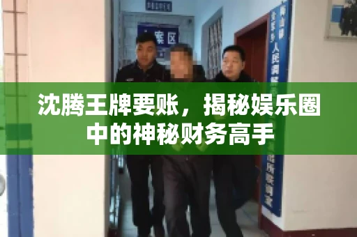 沈腾王牌要账,揭秘娱乐圈中的神秘财务高手 沈腾王牌要账,揭秘娱乐圈中的神秘财务高手