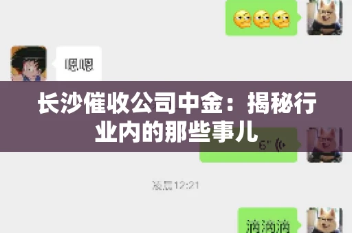 长沙催收公司中金：揭秘行业内的那些事儿