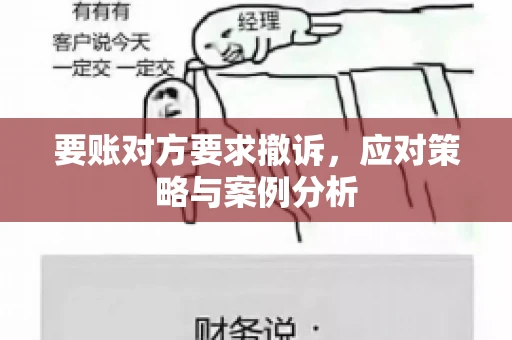 要账对方要求撤诉,应对策略与案例分析 要账对方要求撤诉,应对策略与案例分析