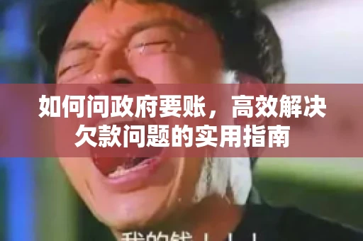 如何问政府要账,高效解决欠款问题的实用指南 如何问政府要账,高效解决欠款问题的实用指南